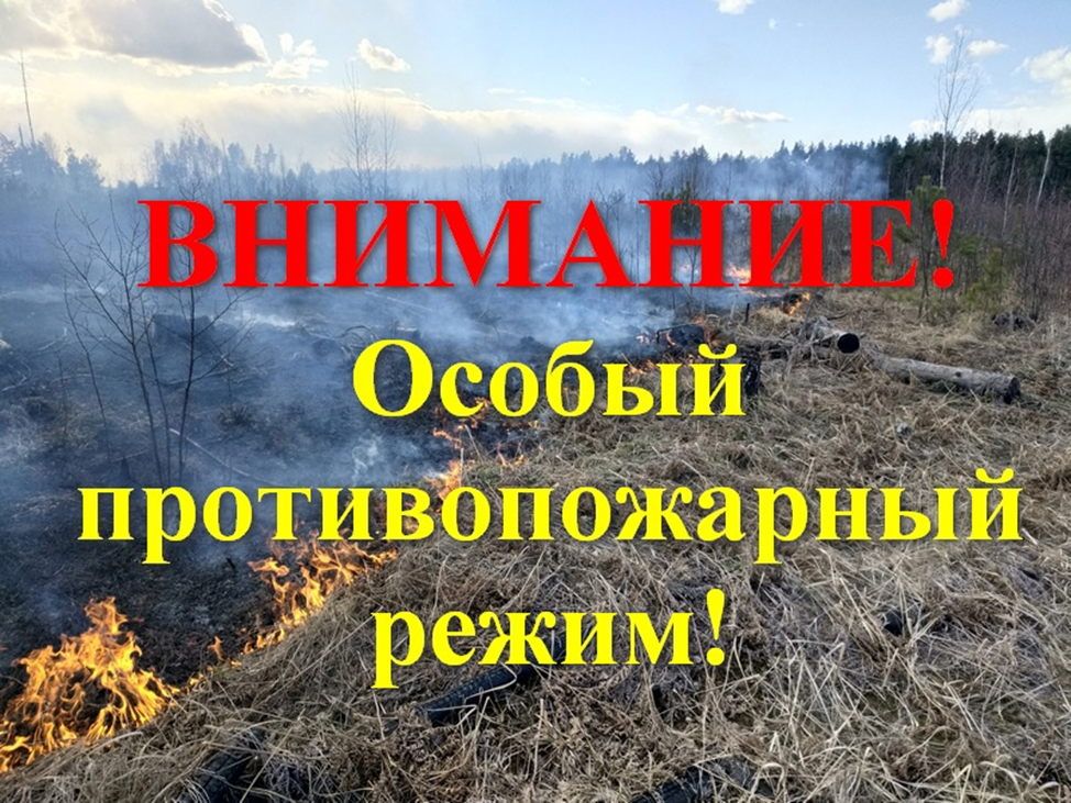 Противопожарный режим особенности. Внимание особый противопожарный. Внимание противопожарный режим. Действует особый противопожарный режим.